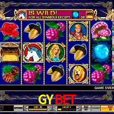 GYBET Rio de Janeiro - Bonus Terms